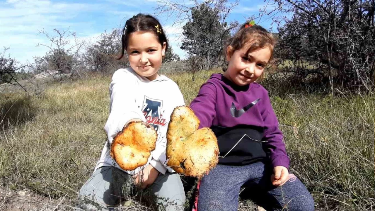 Ya�murun ard�ndan kanl�ca mantar� bereketi