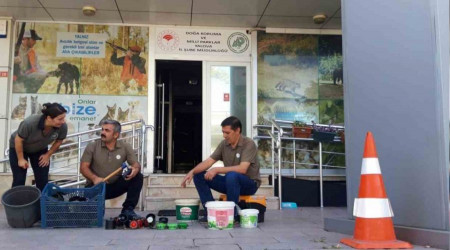 Yalova'da bıldırcın sesi çıkaran cihazlar imha edildi