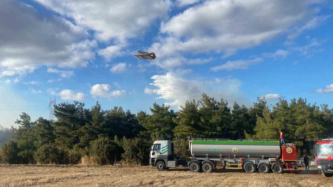 "Yang�n kontrol alt�na al�nd�, 4 hektarl�k alan etkilendi"