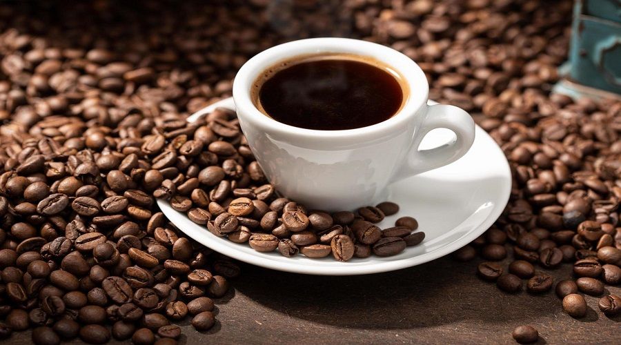 Yar�m kilosu 2 bin 568 dolara sat�ld�