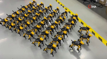 Yeni ilgi odağı robot evcil hayvanlar
