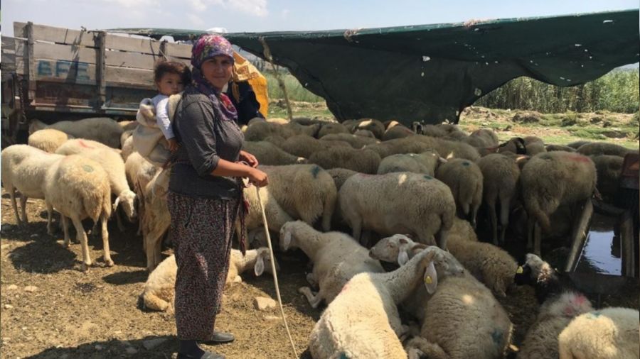 Yerlerinden edilen Y�r�kler isyan etti