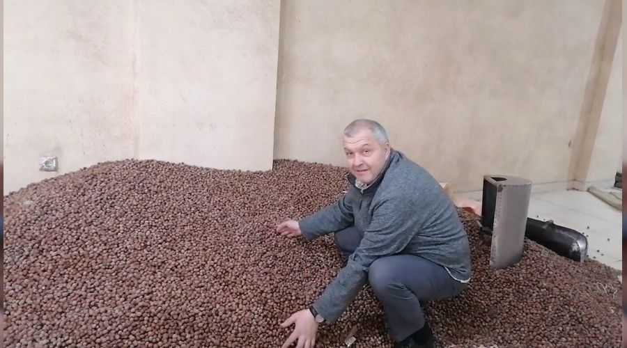 Zirai don riski fındık fiyatlarını yükseltti