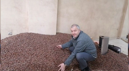 Zirai don riski fındık fiyatlarını yükseltti