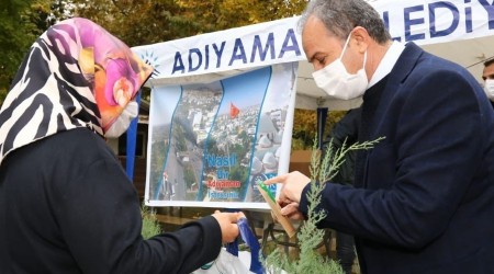 10 bin tohumlu kalem, bin 954 adet fidan dağıtıldı 