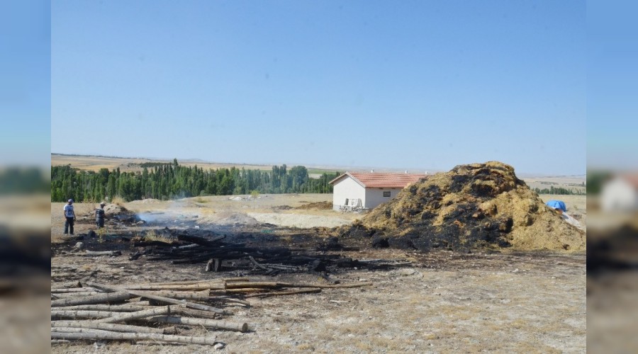 12 bin liral�k saman balyas� k�l oldu