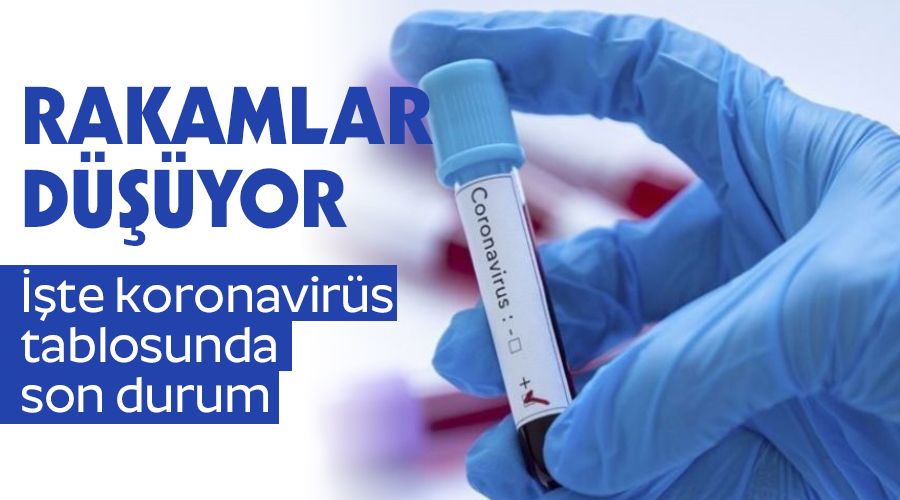 7 bin 523 kişinin testi pozitif çıktı, 178 kişi hayatını kaybetti