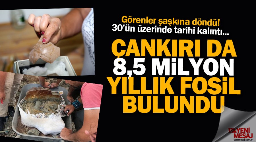 8.5 milyon y�ll�k deve ku�u yumurtas� bulundu