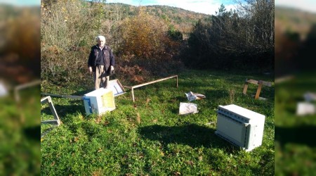 Aç ayılar arı kovanlarını parçaladı