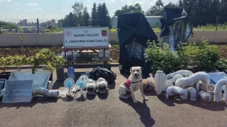 Adana'da iklimlendirme sistemiyle kenevir yetiştiren 5 şüpheli yakalandı
