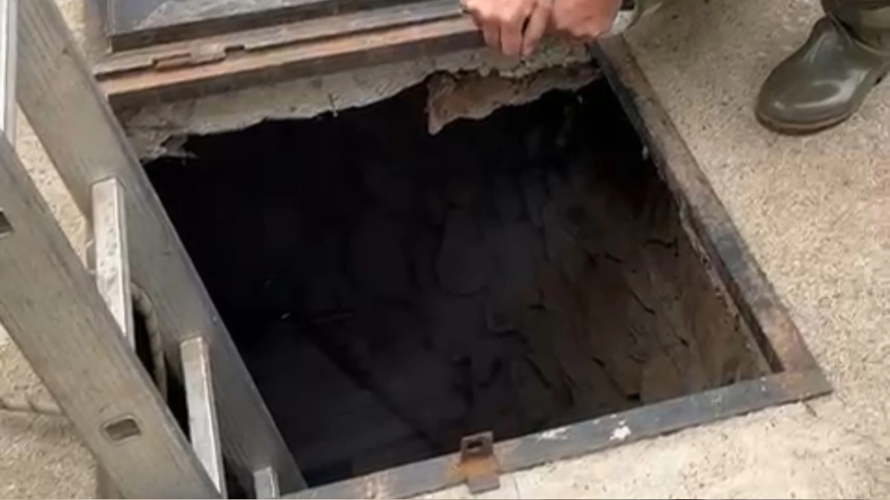 Adana'da su kuyusuna inen 2 kişi hayatını kaybetti