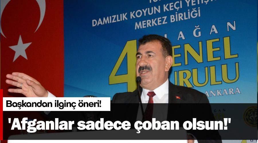 'Afganlar sadece çoban olsun!'