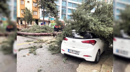 Ağaçlar devrildi, çatılar uçtu