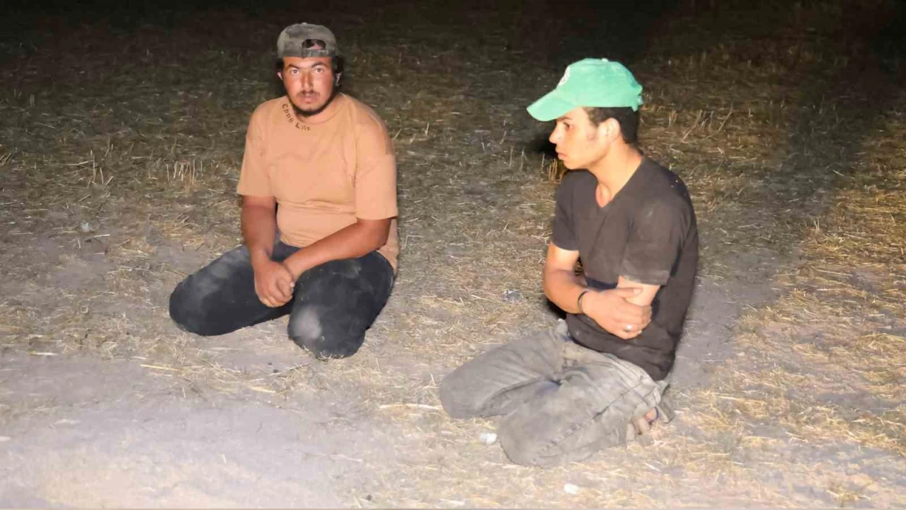 Aksaray'da kaak gmenler arpa tarlasnda yakaland