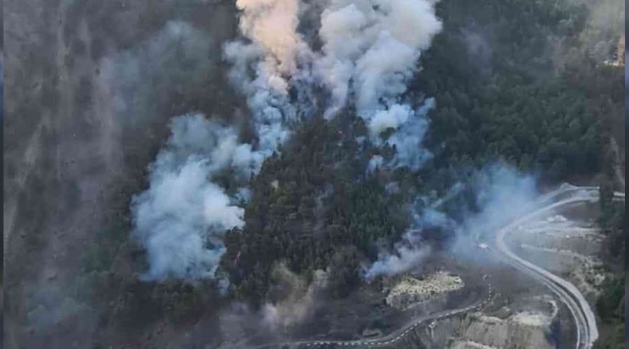 Aladağ'da orman yangını