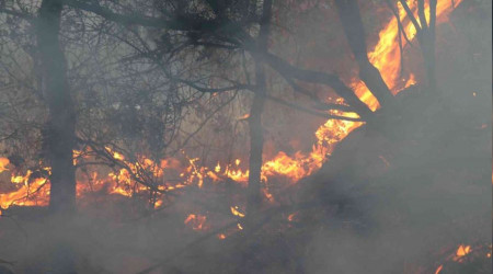 Alanya'da ikinci orman yangn bymeden sndrld