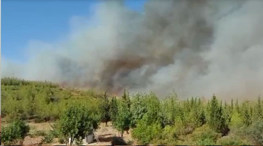 Alevler, Bodrum'un son kalesi Kisebükü'ye ulaştı