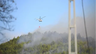 Altınoluk'taki yangın kontrol altında: Gömeç'te müdahale sürüyor