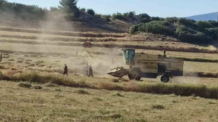 Anason hasad� sona erdi