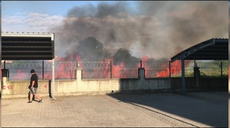 Anız yangınları orman yangınına dönüşmesin