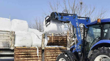 Ankara'da yüzde 100 hibe hayvan yem desteği başladı