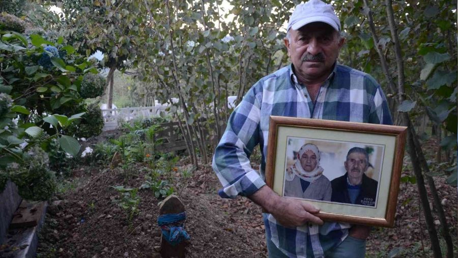 Annesinin altın dişlerini getirene 2 ton fındık verecek