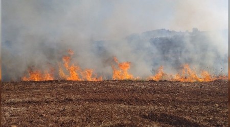 Antalya'da makilik alanda yangın