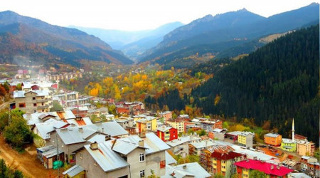 Artvin Şavşat ilçesinde mahkemeden satılık tarla