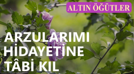 Arzularm hidayetine tbi kl