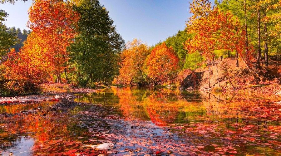 Ay�e P�nar�, g�renleri hayran b�rak�yor