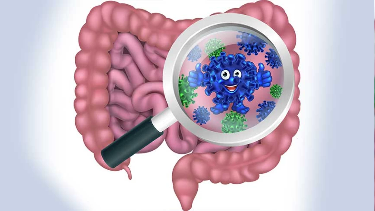 Ba��rsaklar�n�zda trilyonlarca bakteri ya��yor