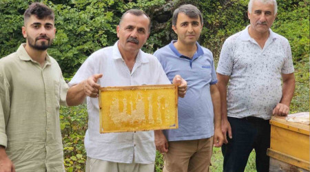 Bal arıları petekte 'Allah' yazdı