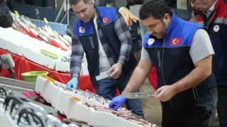 Balık tezgahlarına yakın markaj: 2.5 milyon TL ceza