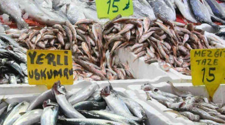 Balık tezgahlarında enflasyon yok: 3 balık çeşidi 15 lira