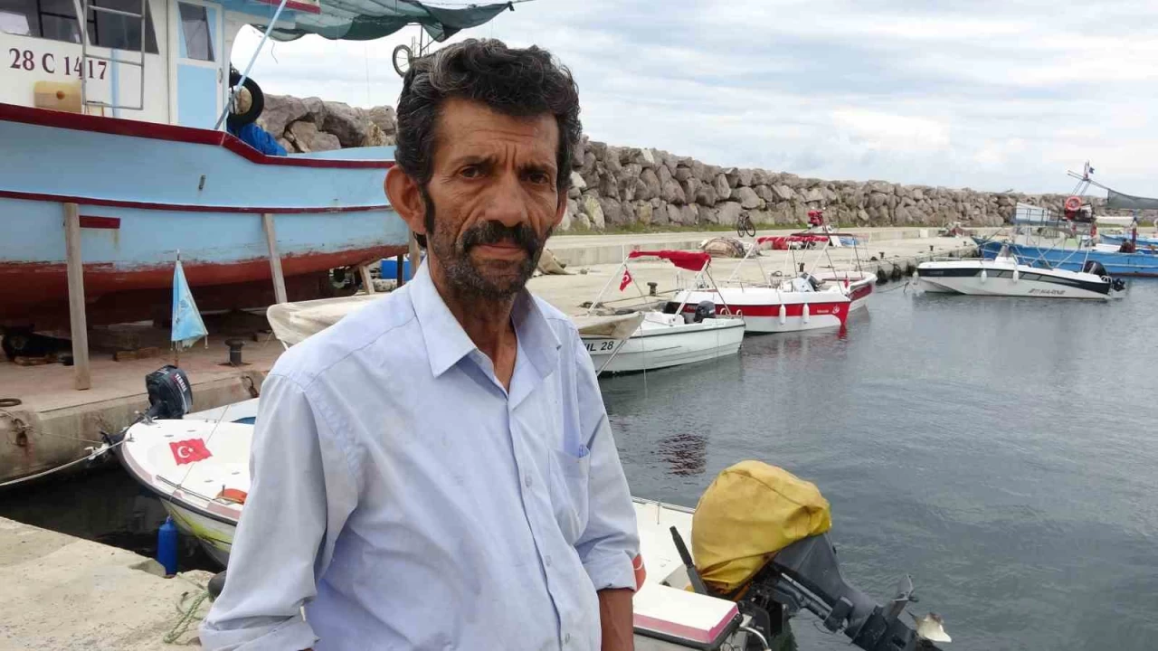Balıkçılar palamuttan yana umutlu