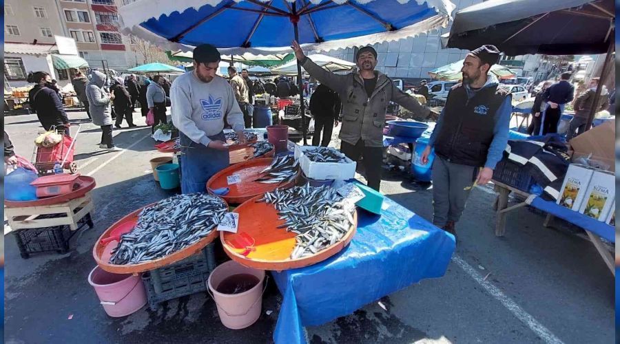 Balıkçıların müşteri kapma yarışı