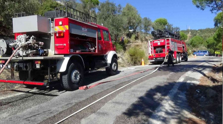 Balkesir'de zeytinlik yangn sndrld