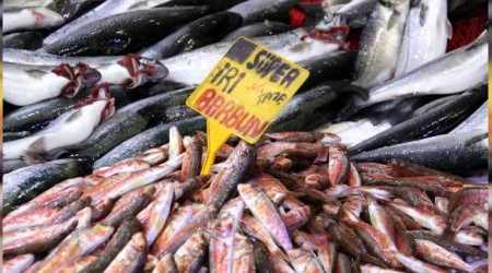 Balıkla gelen tehlike: Ağır metal riski