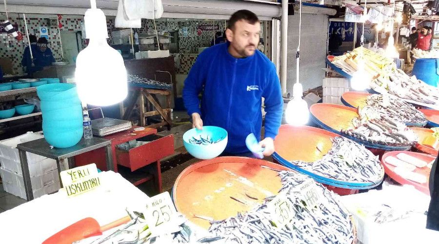 Bandırma Balıkhaline hamsi ve kolyoz akını