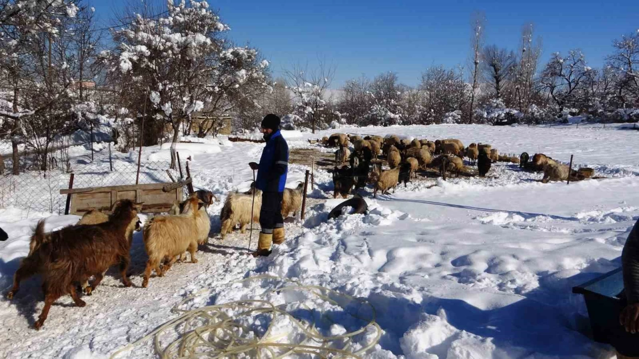 Besicilerin zorlu k�� mesaisi ba�lad�