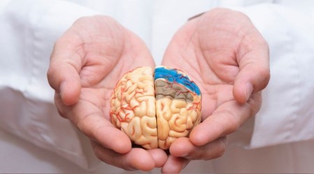 Beyin hakkında doğru sanılan yanlışlar