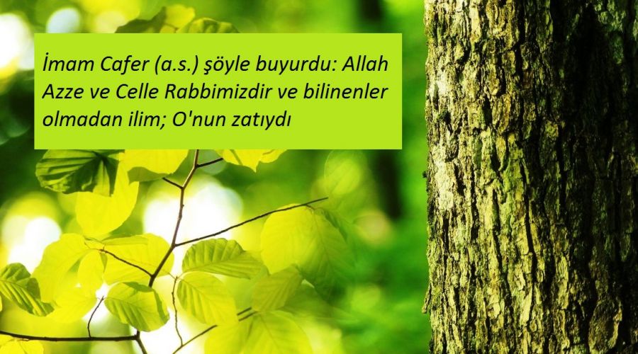 ‘Bilinenler olmadan ilim; O'nun zatıydı’