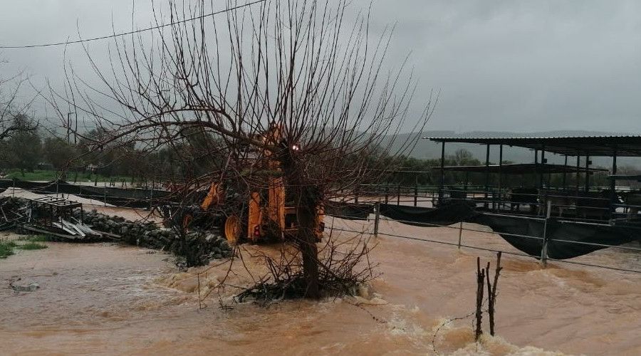 Bodrum yine kabusu yaşıyor