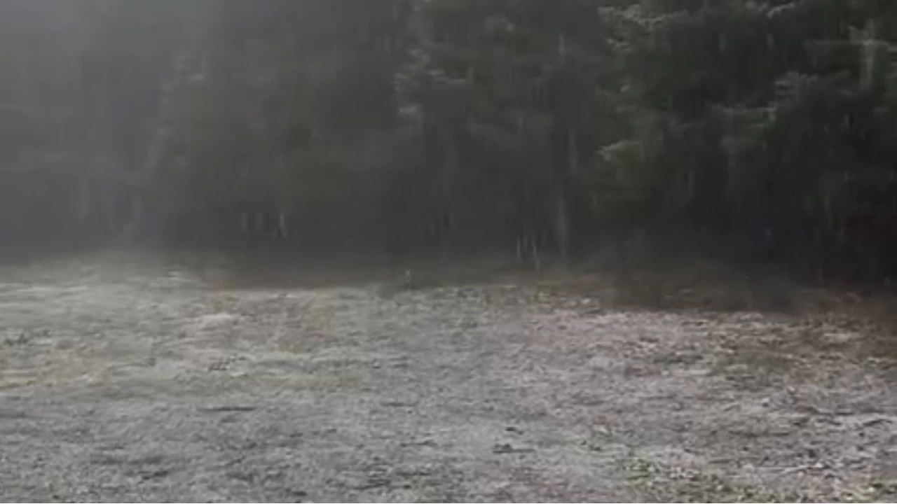 Bolu'nun yükseklerinde kar yağışı