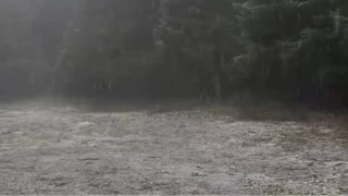 Bolu'nun yükseklerinde kar yağışı