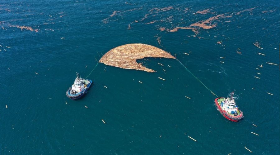 Bozkurt, Ayanck ve Trkeli aklar tomruklardan arndrlyor