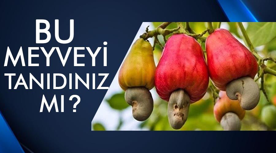 Bu Meyveyi Tanyabildiniz mi?