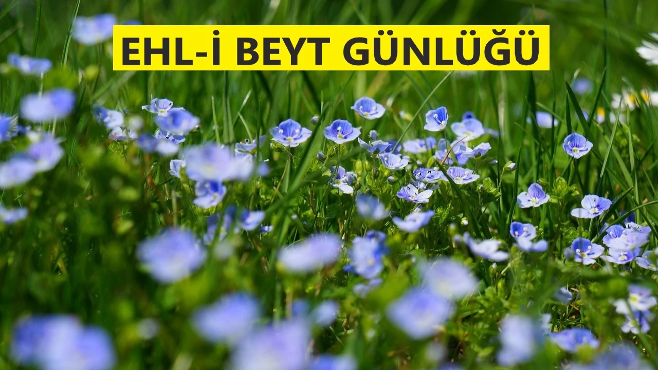Bu tebliğ ancak Hz. Ali'ye aittir