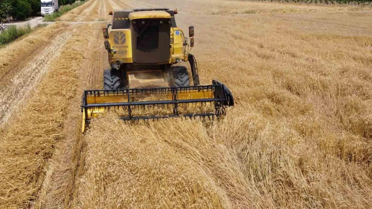 Bu�day hasad� y�z g�ld�rd� ama fiyat belli de�il