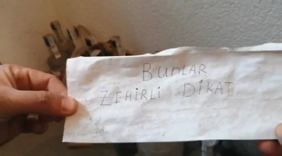 Bunlar zehirli dikkat